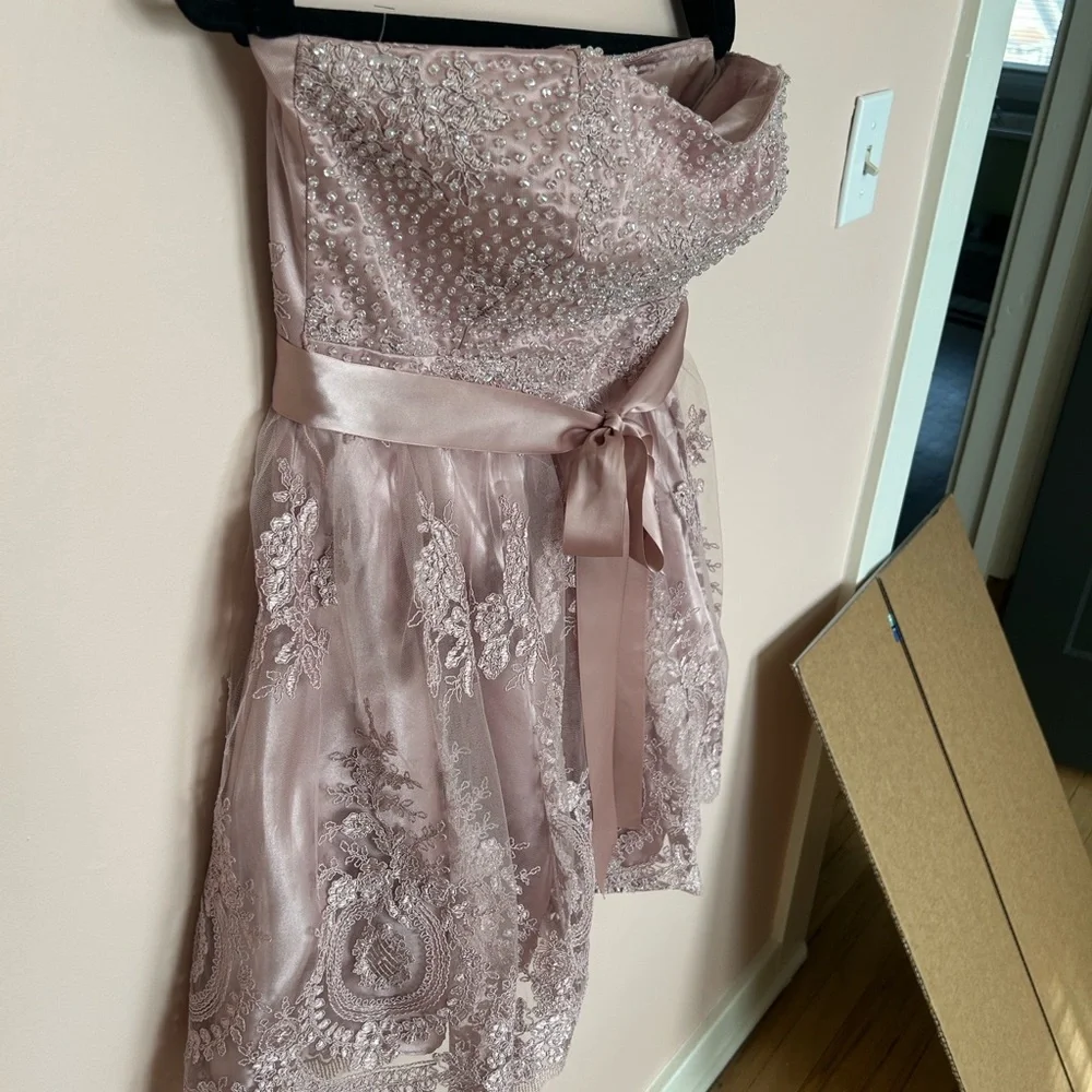 Party Dress Blondie Nites Strapless Blush Lace Size 9 - Picture 4 of 6